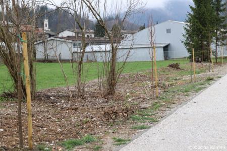 Z zasaditvijo dreves smo uradno odprli kolesarsko povezavo Kamnik–Godič (96)